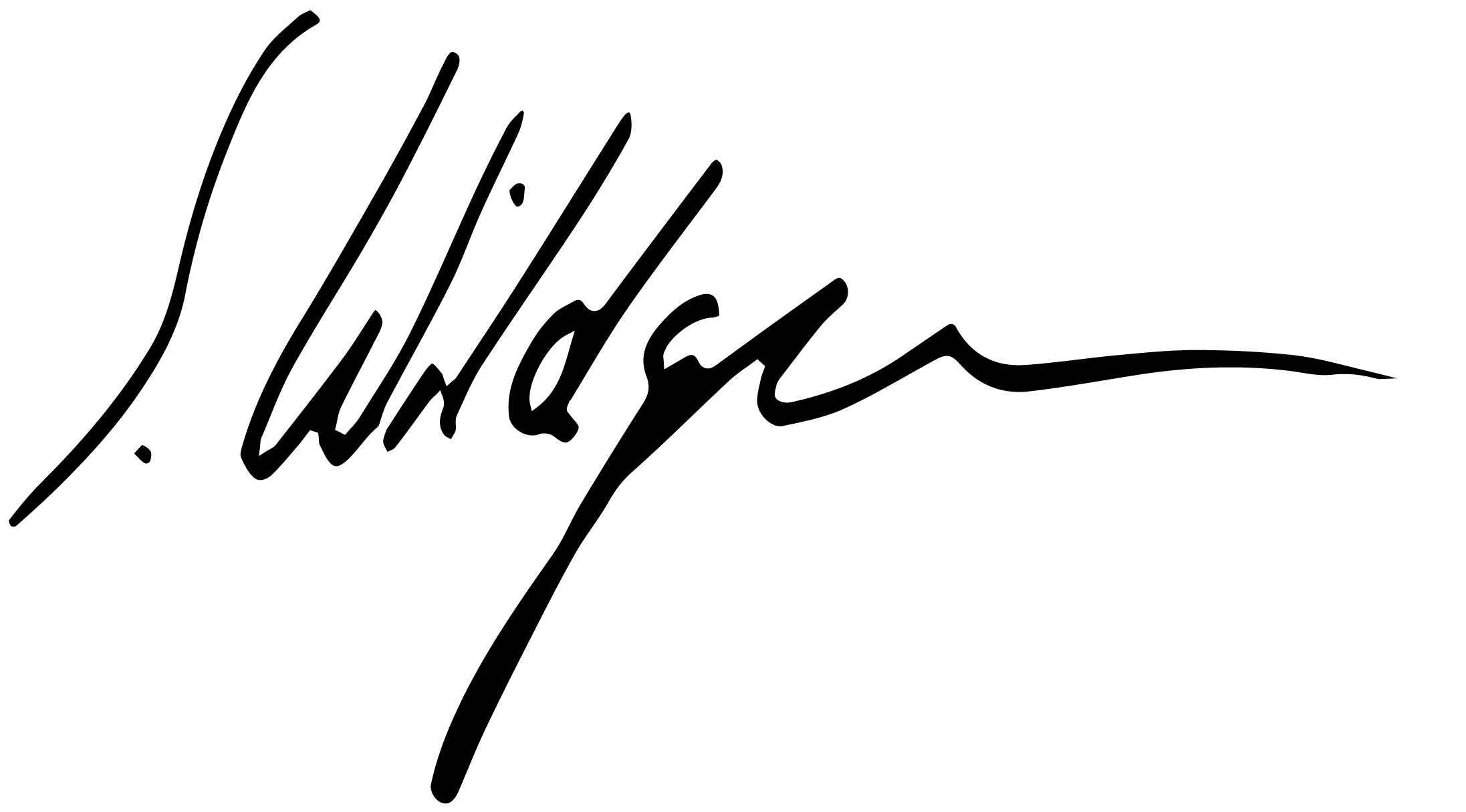 wildgen signature